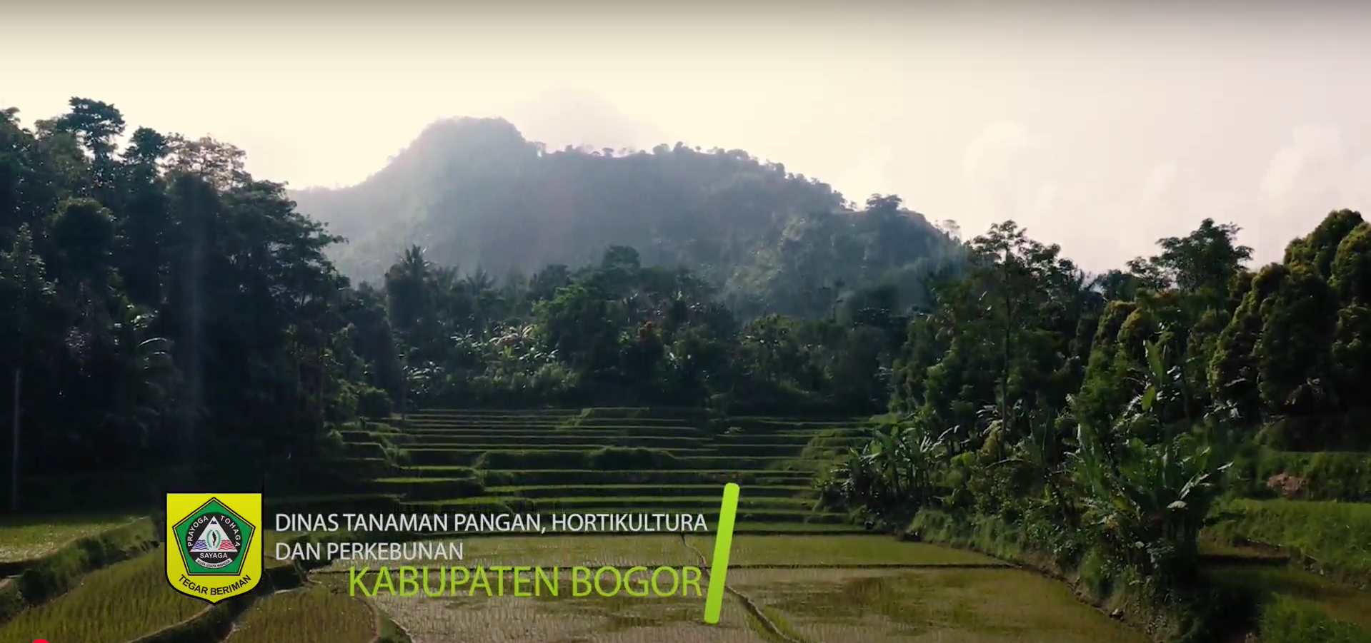 Potensi Pertanian di Kabupaten Bogor