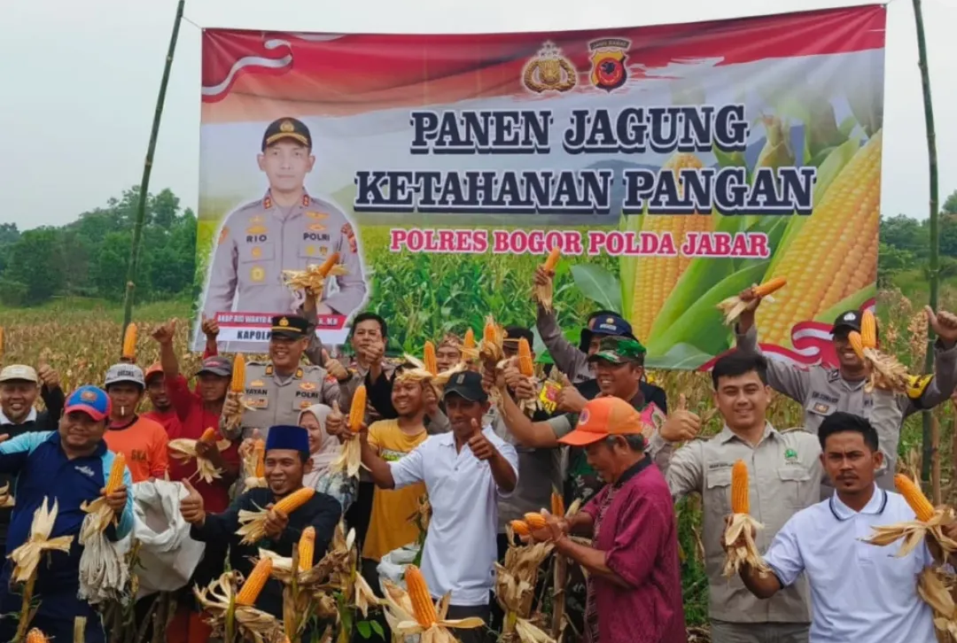 Panen Jagung Ketahanan Pangan