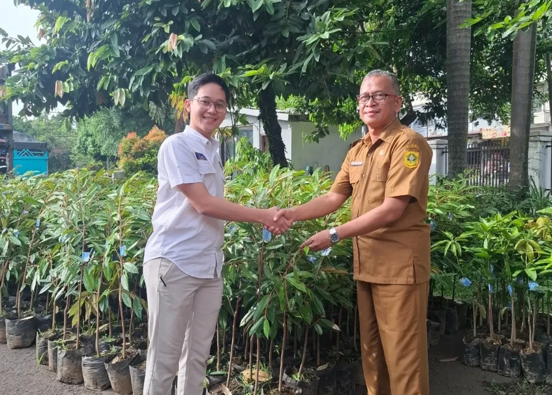 Pendistribusian bibit tanaman durian varietas MK Hortimart dan bibit mangga varietas Arumanis 143