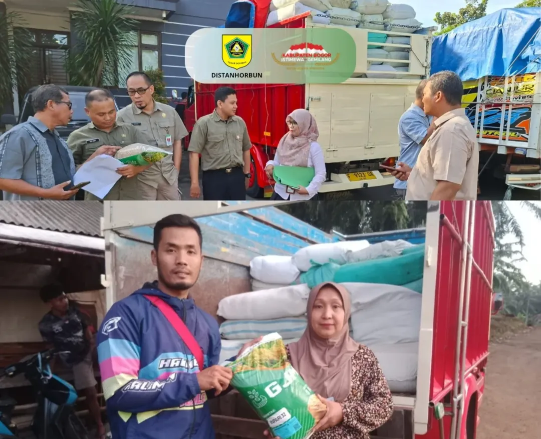Distribusi bantuan benih padi bersertifikat Tahap 2