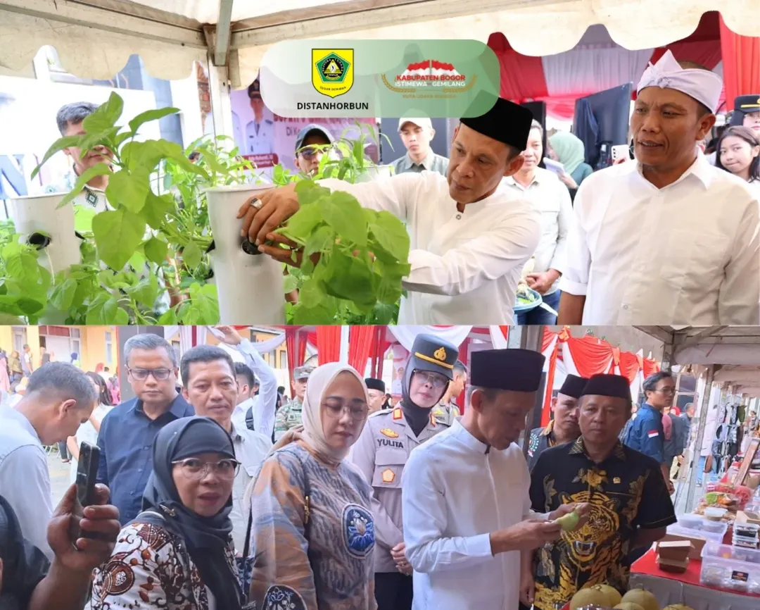 Wakil Bupati Bogor distribusikan 500 ribu bibit dan resmikan Kampung Hidroponik di Kecamatan Megamendung
