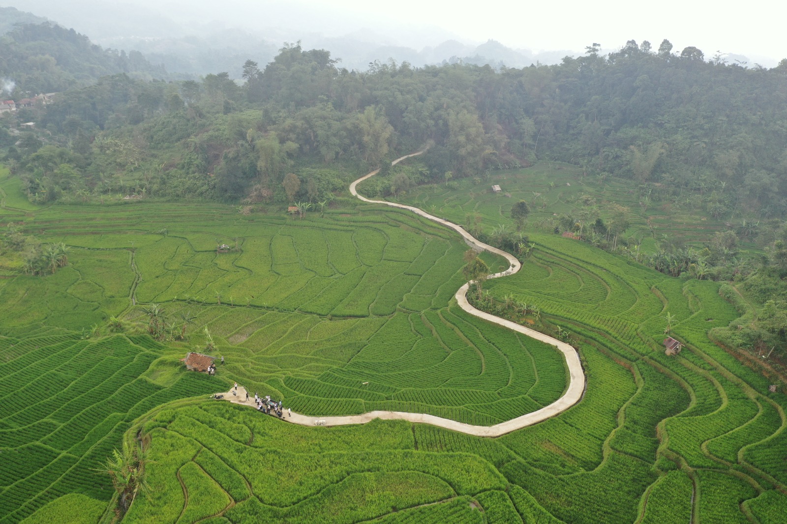 Monitoring dan Evaluasi Jalan Usaha Tani & RJIT Kec. Sukajaya Desa Kiarasari